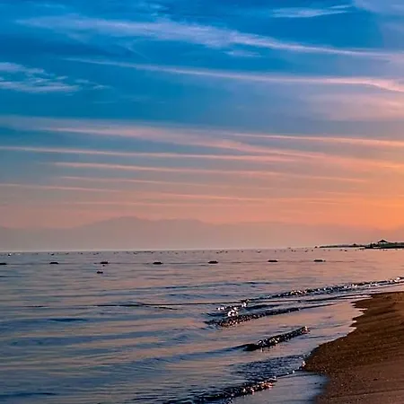 Alba Royal (adults Only) Colakli